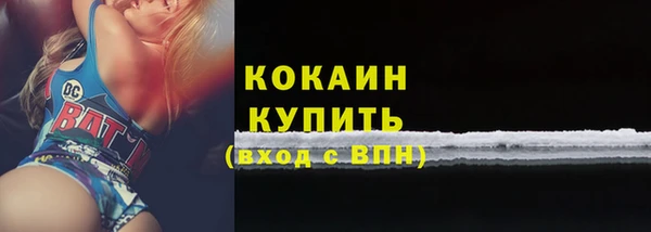 стаф Вязники