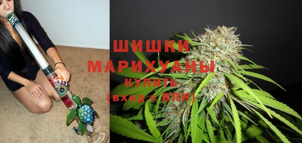 2c-b Новосибирск