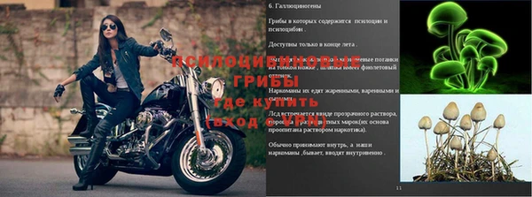 кокс Горно-Алтайск