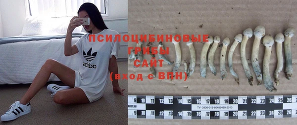 винт Пенза