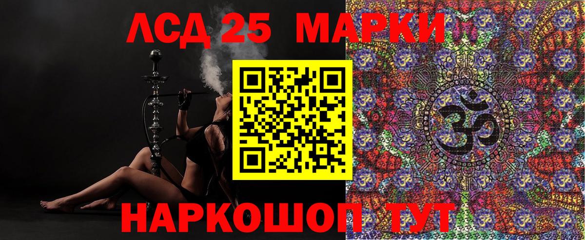 Губкин  Марки N-bome 1,5мг  Вход с VPN 