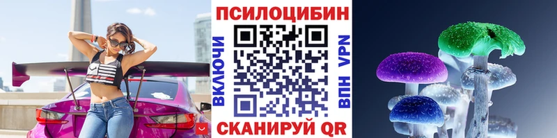 даркнет клад наркотики Губкин Галлюциногенные грибы прущие грибы