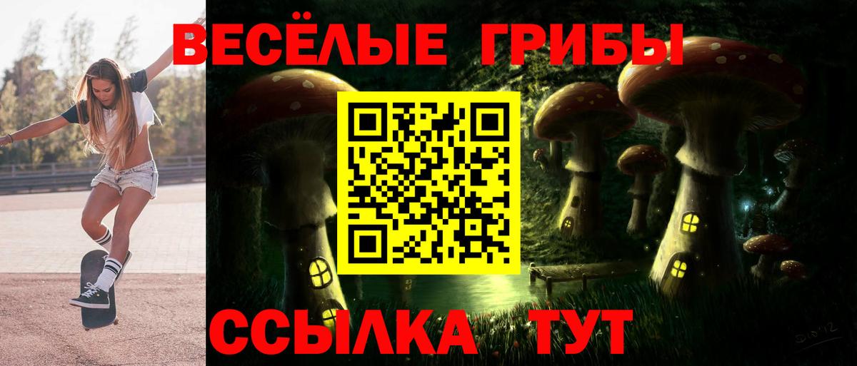 Псилоцибиновые грибы прущие грибы Губкин