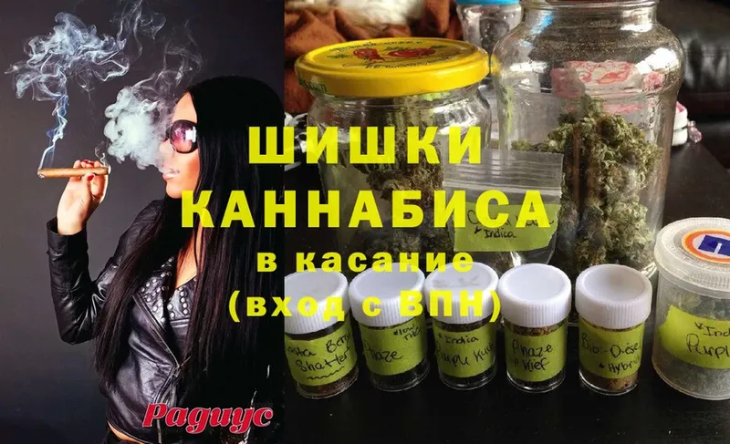 где продают наркотики  Губкин  Шишки марихуана планчик 